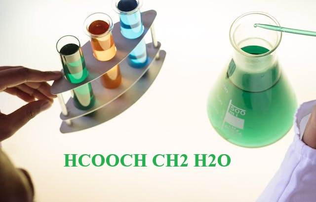Insights on HCOOCH CH2 H2O and Their Importance