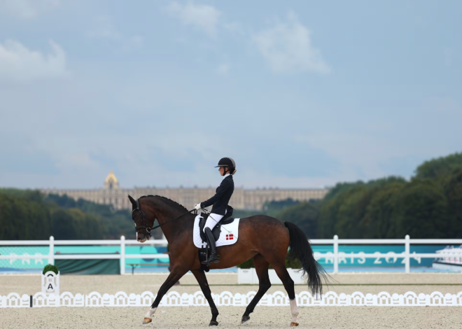 Sport at the equestrian paralympics Paris