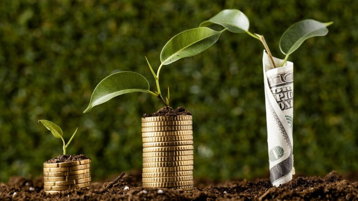 MyGreenBucks: Achieving A Sustainable Financial Growth